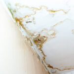 Water Damage Sunrise FL-Sunrise