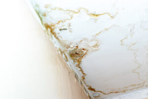 Water Damage Sunrise FL-Sunrise